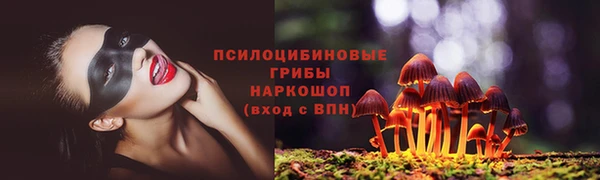 мескалин Бородино