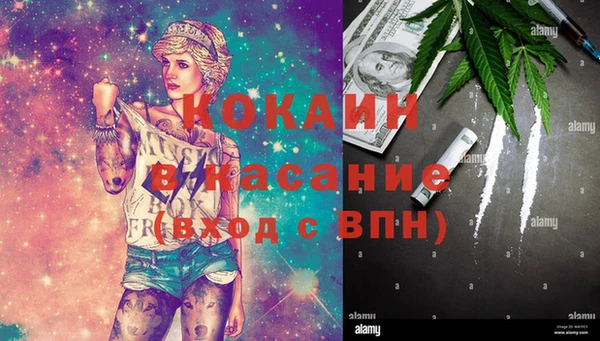 мескалин Бородино